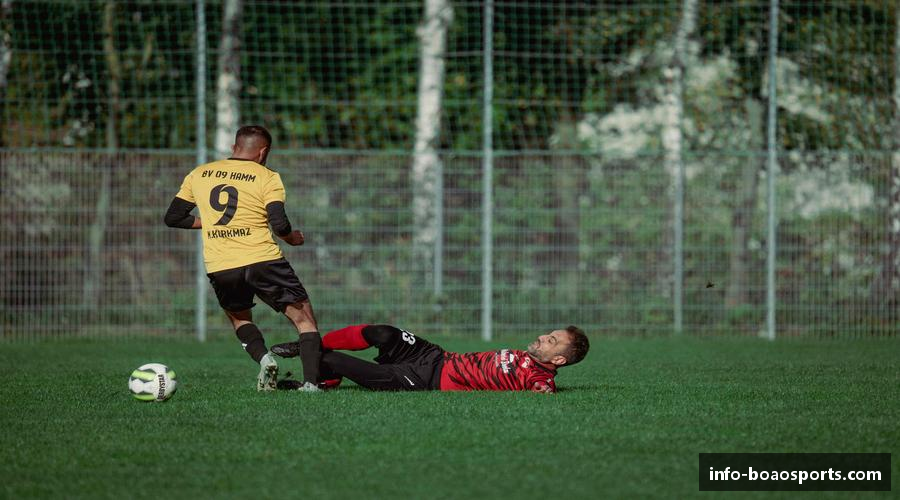 展望博澳体育首页